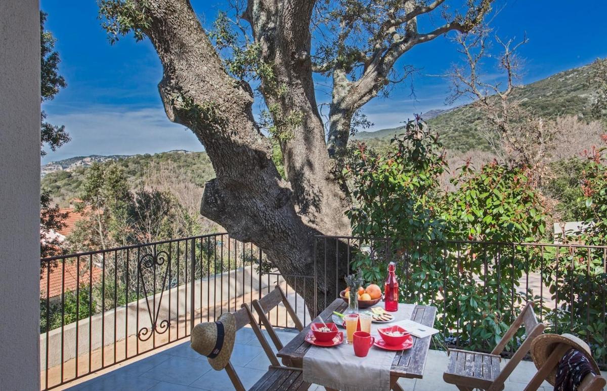 Appartement Domaine Ghjulia à Patrimonio Extérieur photo